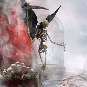 Meet your Posher, Brad